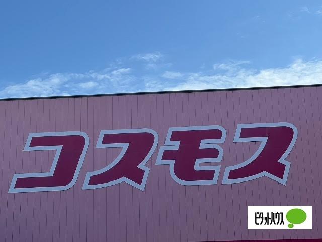 ディスカウントドラッグコスモス北島店：1349m