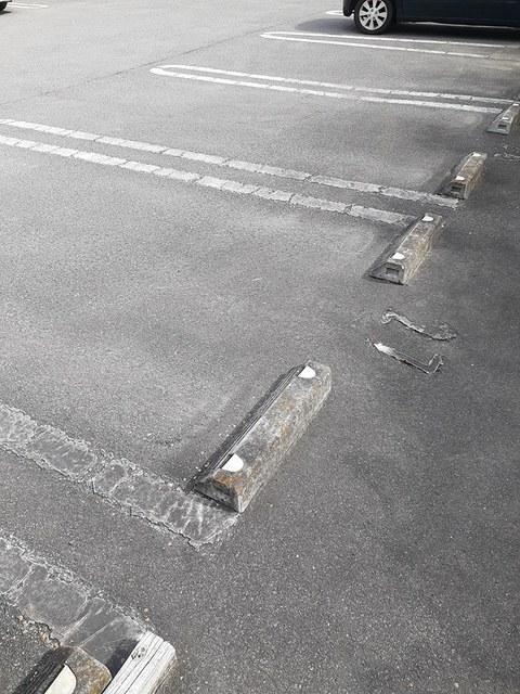 メゾンロアールⅡ　Ｃ（101） 駐車場
