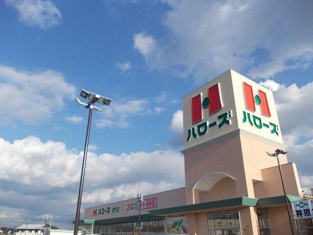 ハローズ鳴門店様：1100m