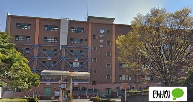 国立徳島大学薬学部：1305m