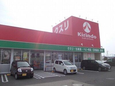 キリン堂藍住徳命店様：750m