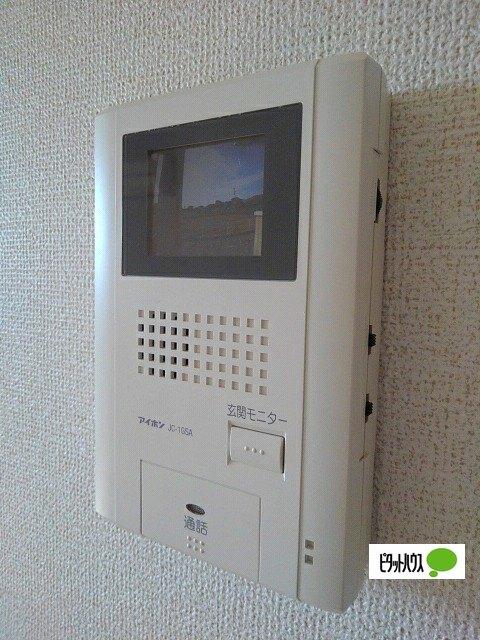 ヴィオラ（203） その他