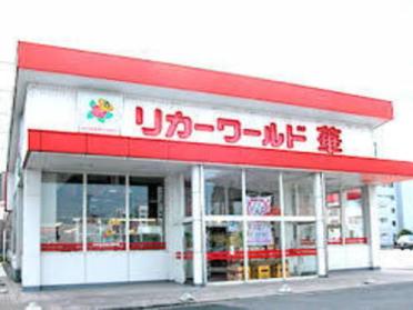 リカーワールド華 光陽店：1100m