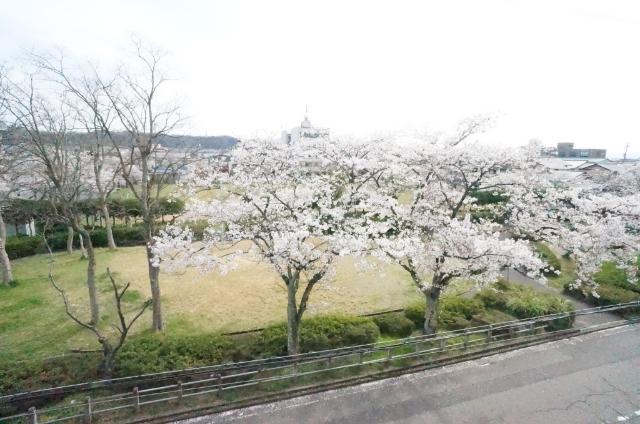 メゾンたけうち 物件画像
