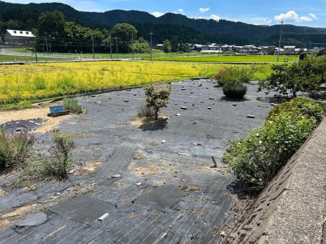 土地2