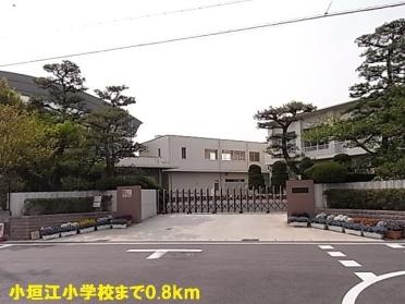 小垣江小学校：800m