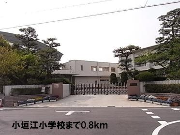 小垣江小学校：800m