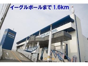 イーグルボール：1600m