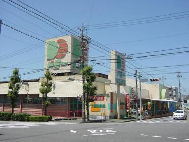 ドミー豊田山之手店：956m