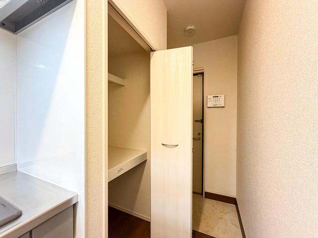 Ｄ−ｒｏｏｍ　ｗｉｎｇ（103） 収納