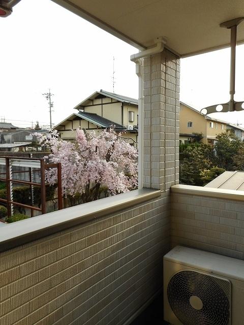 グランディア山の手（302） バルコニー