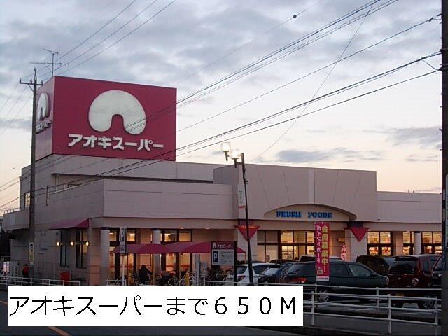 アオキスーパー：650m