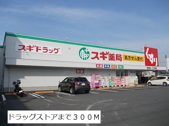 スギ薬局：300m