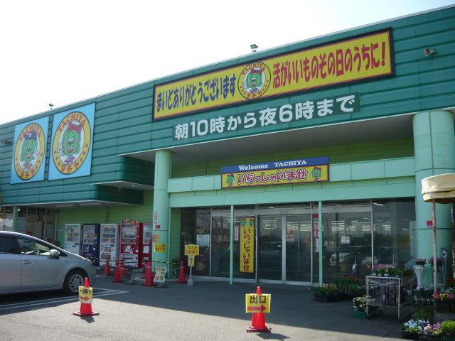 タチヤ：1200m