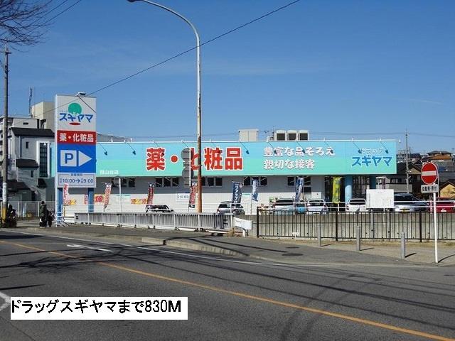 ドラッグスギヤマ：830m