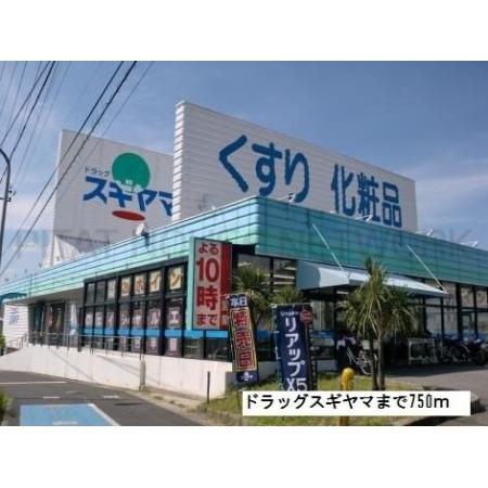 ドラッグスギヤマ：750m