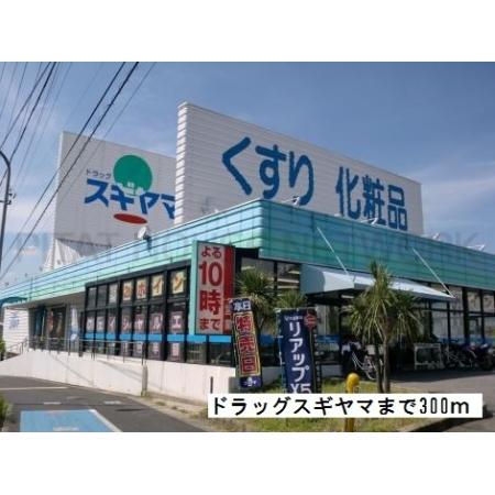 ドラッグスギヤマ：300m