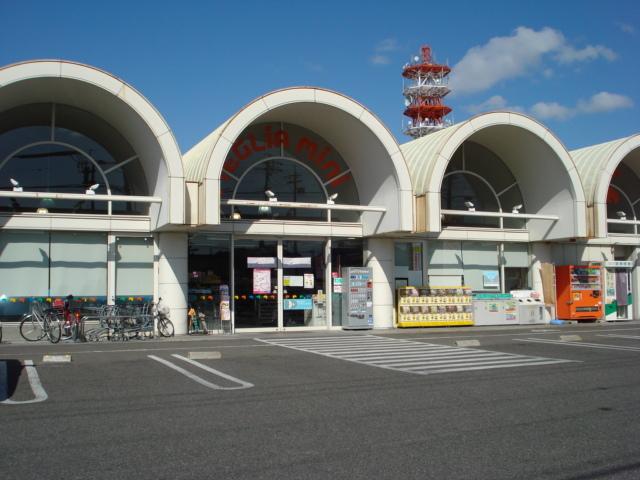 メグリアミニ加茂川店：428m