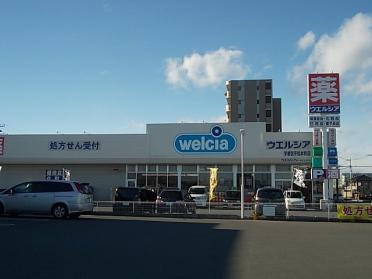 ウエルシア薬局平松本町店：650m