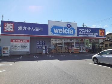 ウエルシア宇都宮双葉店：600m