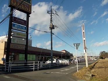 フードオアシスオータニ平松店：270m