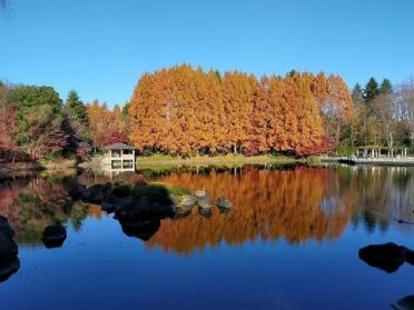 中央公園：700m