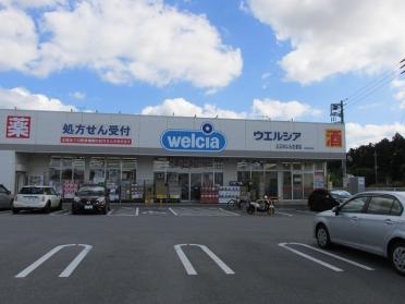 ウエルシア上三川しらさぎ店：900m