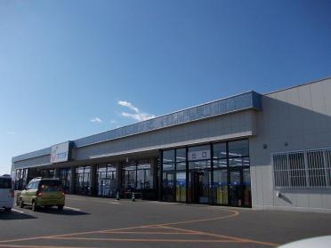 カワチ薬品若松原店：1300m