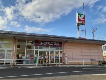 ヨークベニマル西川田店：2200m