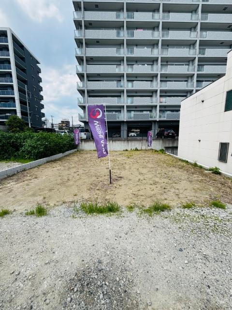 1号地
