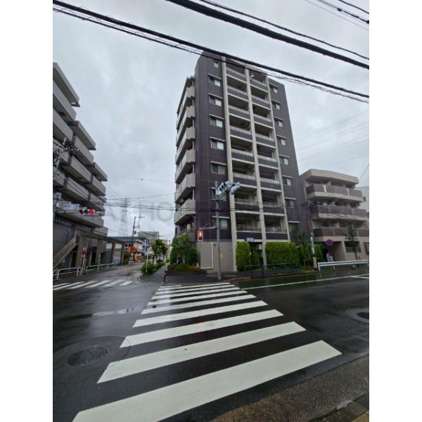 キャヴィム綾瀬