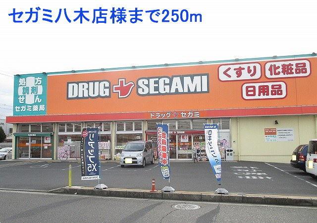 セガミ八木店様：250m