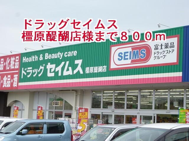 ドラッグセイムス橿原醍醐店様：800m