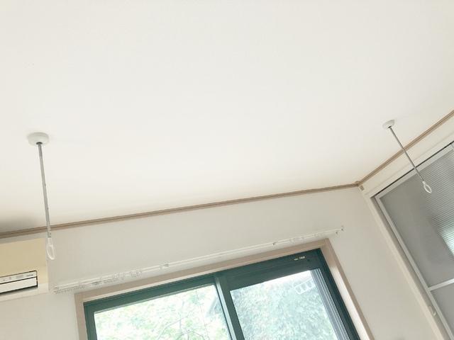 グローリア酒々井（101） 部屋画像