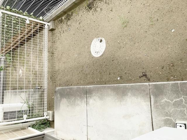 アコルテ（102） 部屋画像