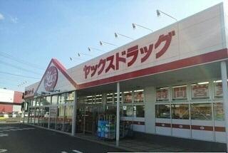 ヤックスドラッグ富里インター店：1600m