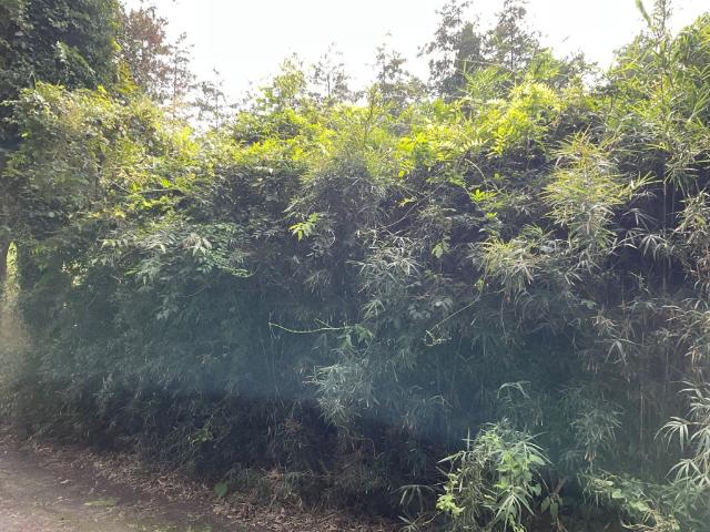 土地2