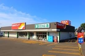 ツルハドラッグ菊水元町8条店：580m