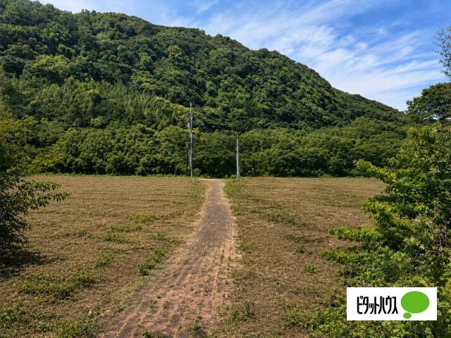 城ケ崎大型用地 土地