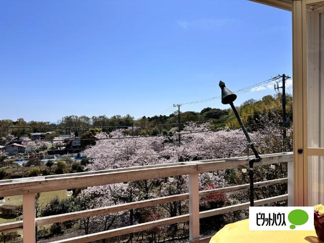 IZUKOGEN Luxury Hotel 眺望