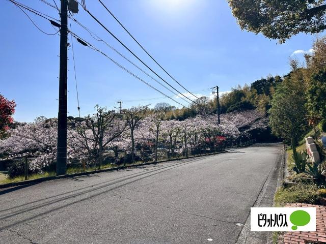 IZUKOGEN Luxury Hotel 前面道路含む現地写真