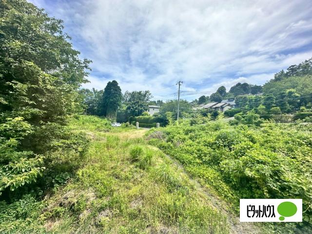 城ケ崎大型用地 その他