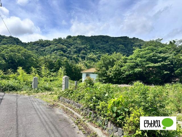 城ケ崎大型用地 前面道路含む現地写真