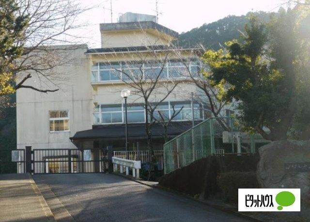 伊東市八幡野小学校