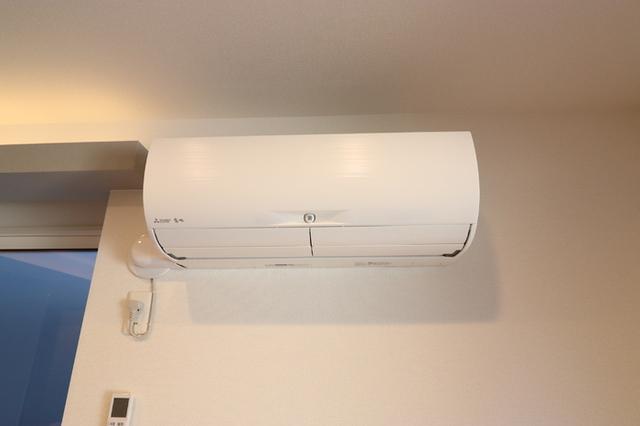 D-room弁天3丁目　A（101） 部屋画像