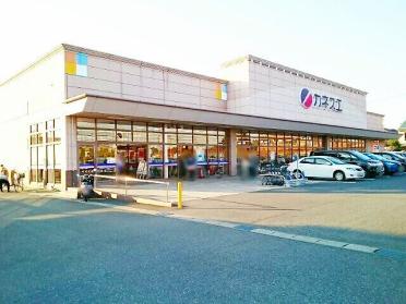 カネスエ　北園通店：1100m