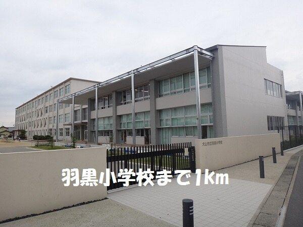 犬山市立　羽黒小学校：750m