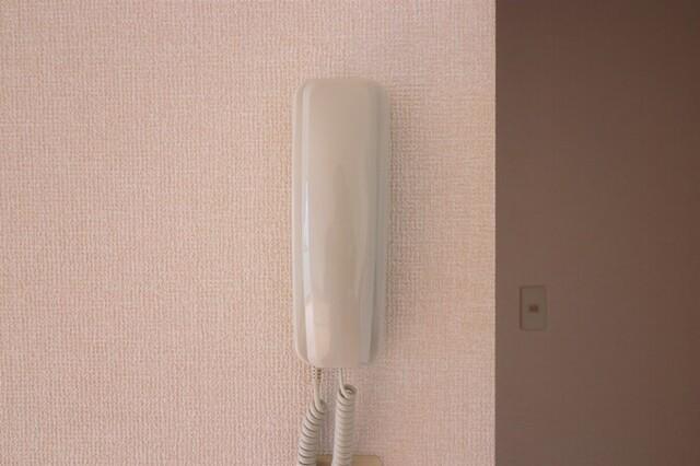 久持良ハイツ　D（103） 部屋画像