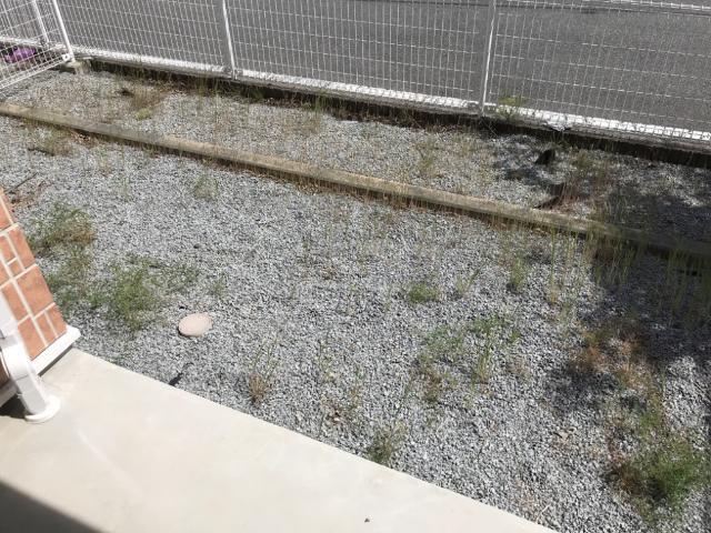 ＦＴコンフォール 庭