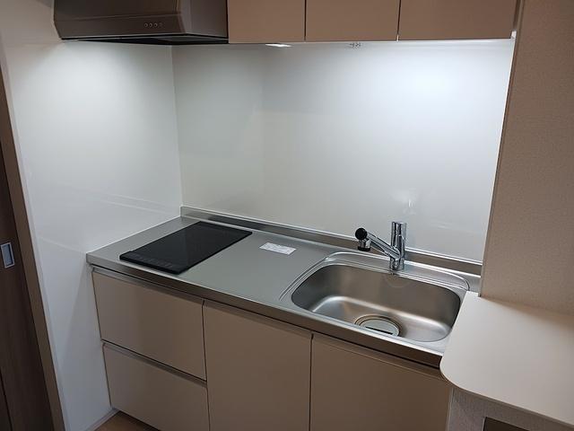 ヒカルサ甲府住吉　サウス（203） その他部屋・スペース